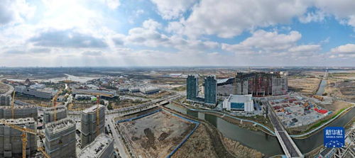 新春開(kāi)新局 上海自貿(mào)區(qū)臨港新片區(qū)貿(mào)易建設(shè)熱潮涌動(dòng)