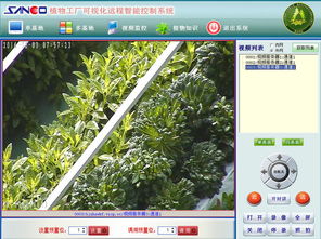 物聯(lián)網(wǎng)技術(shù)在霧培蔬菜工廠上的創(chuàng)新應(yīng)用與研發(fā)進(jìn)展